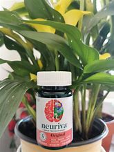 Image result for Neuriva Brain Performance Trial Pack