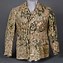 Image result for Waffen SS Camouflage Uniforms