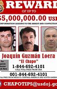 Image result for Drug Cartels Most Wanted
