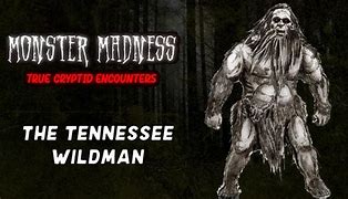 Image result for tennessee cryptids