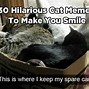 Image result for Funny Smiling Cat Meme