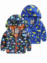 Image result for Toddler Hoodies