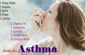 Image result for Natural Herbs for Asthma
