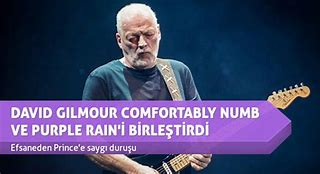 Image result for David Gilmour Daughter Romany