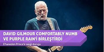 Image result for David Gilmour Comfortably Numb Live in Gdansk