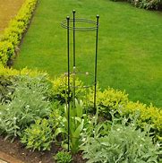 Image result for Plant Support Stakes for the Garden