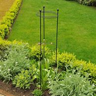 Image result for Flower Supports for Tall Plants