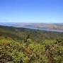 Image result for Point Reyes Trees