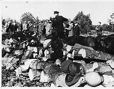 Image result for Germany War Crime