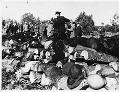 Image result for War Crimes in Poland WW2