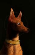 Image result for pharoah demon dogs