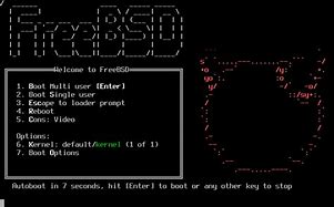 Image result for FreeBSD 64