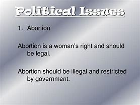 Image result for Political Issues Examples