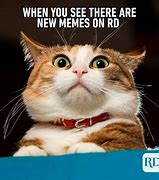 Image result for Hilarious Humor