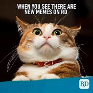 Image result for Crazy Animals Funny Memes