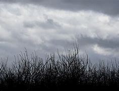 Image result for Storm Clouds Approaching