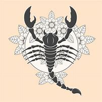 Image result for Vector Scorpion Tattoo Designs