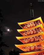 Image result for Tokyo Activities