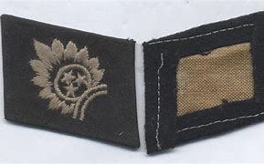 Image result for Latvian Legion Swastika Collar Tab