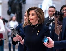 Image result for Nancy Pelosi Purple Suit