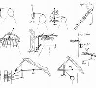 Image result for Types of Traps and Snares