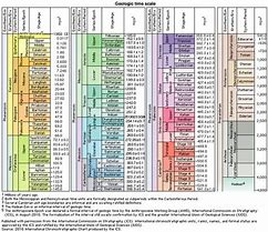 Image result for Carboniferous Period Timeline