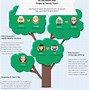 Image result for Bean Plant Family Tree