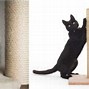 Image result for Cat Scratching Couch