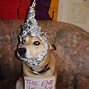 Image result for Woman Long Hair Tin Foil Hat