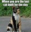 Image result for Funny Cute Memes