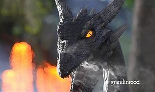 Image result for Animated Dark Night Dragon Halloween Decoration - Grandin Road