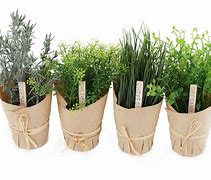 Image result for Artificial Herb Plants