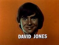 Image result for David Jones Monkees