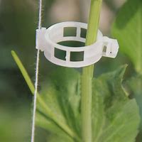 Image result for Plant Support Clips