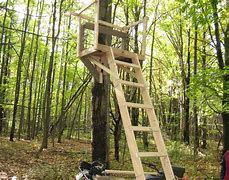 Image result for Hang On Tree Stand Ladder
