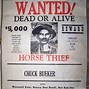 Image result for Virginia Hall Wanted Poster
