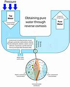 Image result for What Is Reverse Osmosis