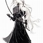 Image result for Sephiroth Forms