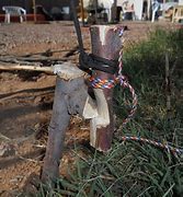 Image result for Rabbit Snare Pegs