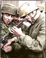 Image result for WW2 German Paratroopers Color