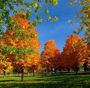 Image result for 1024 X 768 Fall Wallpaper