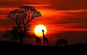 Image result for Afrika Sonnenuntergang Bilder