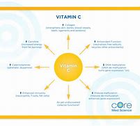 Image result for Vitamin C Antioxidant