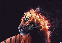 Image result for Fire Tiger Wallpaper