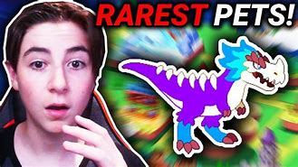Image result for Top 5 Rarest Pets Prodigy