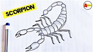 Image result for Easy Scorpion Drawings