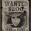 Image result for Old Time Wanted Poster Stickers