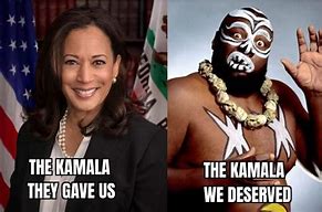 Image result for Kamala Harris Funny Memes