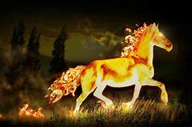 Image result for Colorful Fire Horse