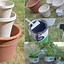 Image result for DIY Small Herb Garden